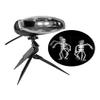 Sunstar Industries Fluttering Fright Reaper Light Show Projection view 1