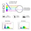 LifeArt Blue Light Blocking Customized Glasses, Anti Eyestrain, Computer Reading Glasses, Gaming Glasses, TV Glasses for Women Men, Anti Glare (Black, No Magnification) view 3