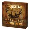 Rivers Edge Products LED Canvas Wall Art, 6 by 6 Inches, Fiber Optic Light Up Wall Decor, Battery Operated Lighted Nature Canvas Print, LED Light Kitchen, Bedroom, or Home Decor, Excuse Me Ladies view 1
