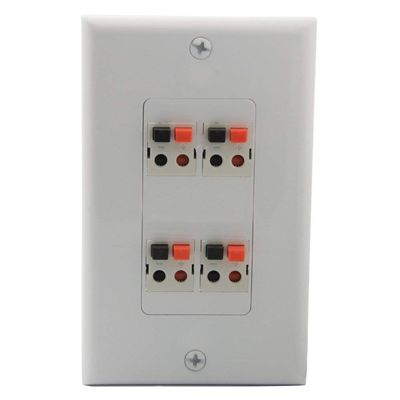 YinXiong Decorative Style 1 Gang Spring Clip Style 4.0 Speaker Wall Plate