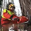 Protos Integral Arborist Helmet - Black view 2
