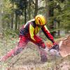 Protos Integral Arborist Helmet - Black view 3