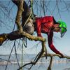 Protos Integral Arborist Helmet - Black view 4