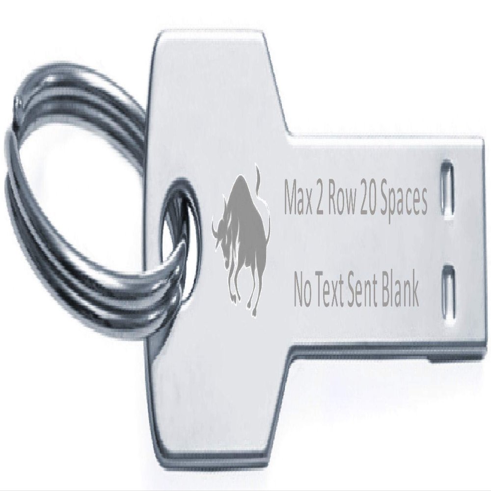 Keyring Flash Memory Stick Key USB 16GB Text Taurus Engraved