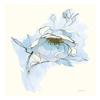 Global Gallery Carols Roses V Blue -PaperArt-22 x26 view 1