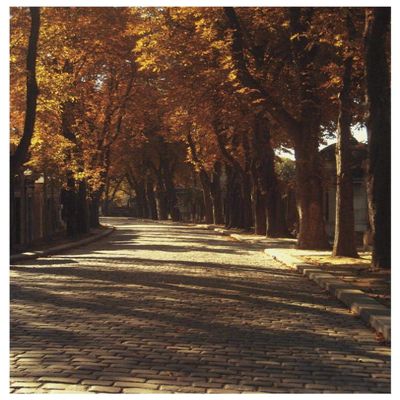 Global Gallery Pere La Chaise -PaperArt-42 x62
