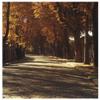 Global Gallery Pere La Chaise -PaperArt-42 x62 view 1