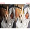 Bounce & Swivel Head Compact Flash Compatible with Canon EOS M5 view 3