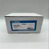 System Sensor SPSRL - L-Series Wall Mounted Speaker Strobe view 2