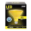 Feit Electric Bulb PAR38 LED Yellow Box view 2