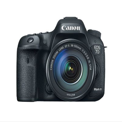 Canon EOS 7D Mark II Digital SLR Camera with 18-135mm IS STM Lens (Renewed)