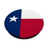 Texas State Flag view 2