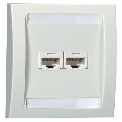 PANDUIT Electric Ivory Wall Plate, Plastic, Number of Gangs: 1, Cable Type: Single Gang