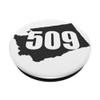509 Washington view 2