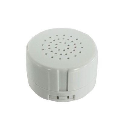 BEARegards 60 Second Digital Voice Recorder for Kids, White, Plastic, Indoor Use, No Assembly Required, Includes 60 Second Digital Voice Recorder