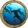 Stickit Graphix 18" Porthole 3D Window Wall Sticker Shark #2 Rustic Port Scape Decal Ocean Deep Blue Sea Fish Kids Room Decor Wall Art Removable Fabric Vinyl view 1