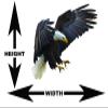 Bald Eagle 1 Wall Decal REPOSITIONABLE (Inside, 18" h x 21.1" w) view 2