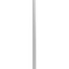 Ekena Millwork ROSC052X070REDUF 5 1/4" W x 7" H x 1/2" P Extra Large Reading Square Rosette, Medium, White view 3