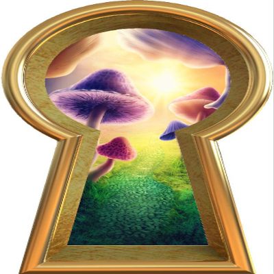 18" Keyhole 3D Wall Decal Magic Mushroom Wonderland Removable Vinyl Mural Decorations Wall Art for Childrens Nursery Decor - 18" Tall x 10.2" Wide