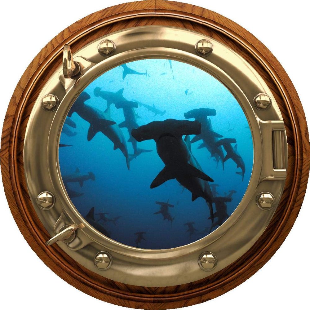 24" Porthole 3D Window Wall Sticker Shark #2 BRASSWOOD Port Scape Decal Ocean Deep Blue Sea Fish Kids Room Decor Wall Art Removable Fabric Vinyl