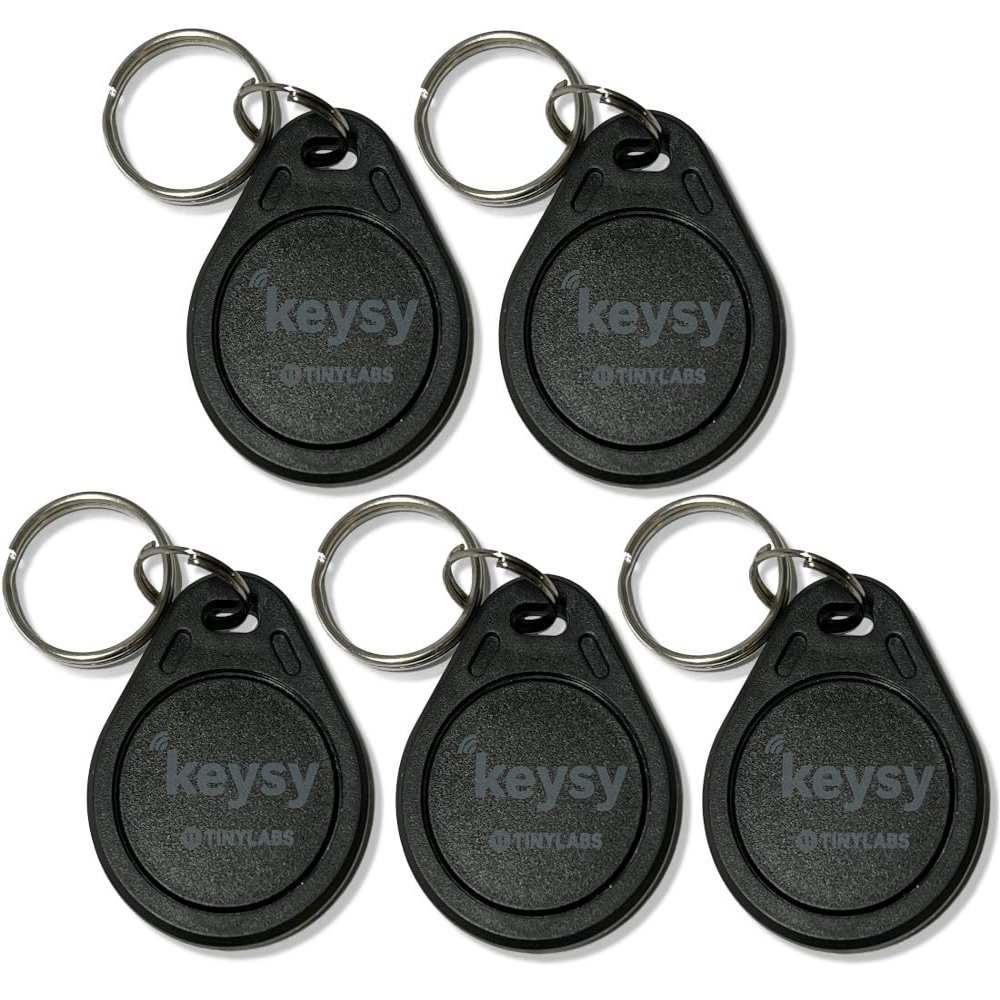 Keysy Rewritable RFID Key Fobs (5-Pack, Black)