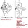 Leyal 10PCS Infrared Sensor 8308-4 011050 Mini White Fresnel Lens Body Pyroelectric PIR view 3