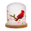 Cypress Home Cardinal LED Cloche - 6 x 6 x 8 Inches view 2