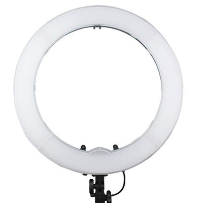 Ring Light with Stand 24inch Ring Light for Phone and Camera Led Ring Light with Phone Holder 55w 5500k for Photography Makeup Live Broadcast