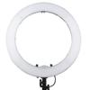 Ring Light with Stand 24inch Ring Light for Phone and Camera Led Ring Light with Phone Holder 55w 5500k for Photography Makeup Live Broadcast view 1