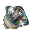 Lutema Platinum Bulb for Ask Proxima 420030500 Projector Lamp (Original Philips Inside) view 2