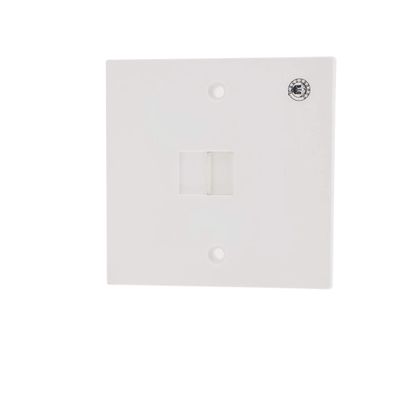 Aexit White Plastic Wall Plates Housing 6P6C Female Socket Telephone Wall Blank Wall Plates Face Plate