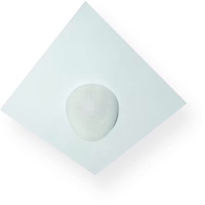 OWI Audio 2X2-NEP-W 2x2 Panel with a Neptune Speaker, White; Dynamic 360-degree Sound