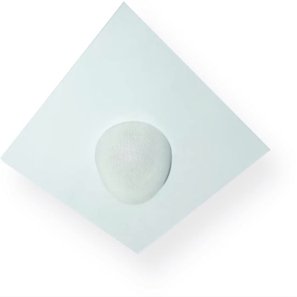OWI Audio 2X2-NEP-W 2x2 Panel with a Neptune Speaker, White; Dynamic 360-degree Sound