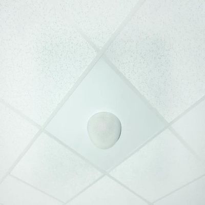 OWI Audio 2X2-NEP-PB-W 2x2 Panel with a Neptune Speaker in a Plenum Box, White; 5", 5 Way; Dynamic 360-degree Sound