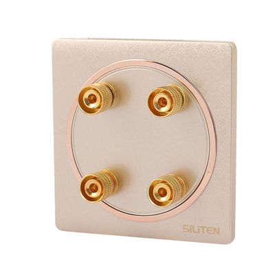 Aexit Audio Speaker Door Control Wall Plate Panel 4 Binding Post for Banana Gold Keyswitches Tone 86x86mm
