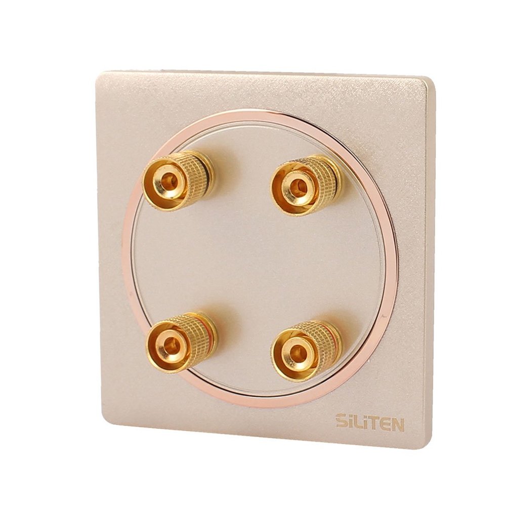 Aexit Audio Speaker Door Control Wall Plate Panel 4 Binding Post for Banana Gold Keyswitches Tone 86x86mm