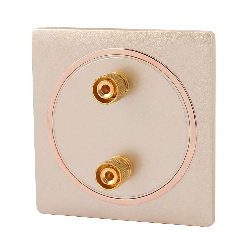 Aexit Audio Speaker Door Control Wall Plate Panel 2 Binding Post for Banana Gold Keyswitches Tone 86x86mm