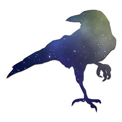 Crow Raven Jackdaw - Vinyl Decal Sticker - 6.25" x 5.75" - Galaxy