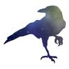 Crow Raven Jackdaw - Vinyl Decal Sticker - 6.25" x 5.75" - Galaxy view 1