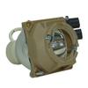 SpArc Platinum for Compaq 215464-001 Projector Lamp (Bulb Only) view 2
