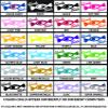 Eyecandy Decals Camera 6 INCH Decal Sticker Gold view 4