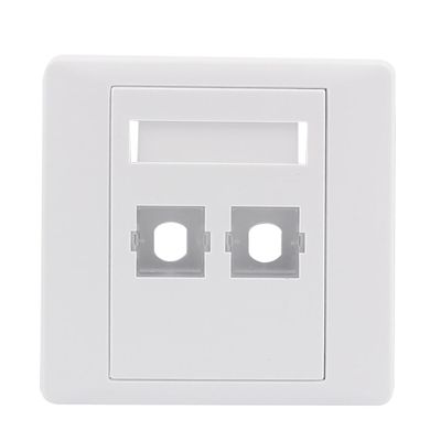 Aexit ST Fiber Transmission Optical Patch Cord Adapter Mount 2 Sockets Wall Plate Panel