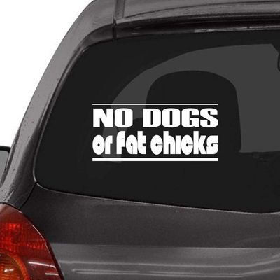 Custom Brother - NO Dogs OR Fat Chicks Car Laptop Wall Sticker m66
