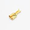 Davitu 100 pcs 6.3mm Female Crimp Terminal Connector Gold Brass Car Speaker Electric Wire Connectors pins Set view 3