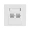 Aexit FC Fiber Transmission Optical Patch Cord Adapter Mount 2 Sockets Wall Plate Panel view 1