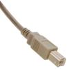 CablesOnline 6ft USB 2.0 Type-B Male to Type-B Male Hi-Speed Cable, USB2-BB06 view 4