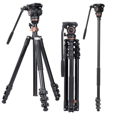 Cayer AF2451 Video Tripod with Fluid Head, 74.6" Convertible Aluminum Tripod to Monopod, 13.2 lbs Payload, Half Ball Leveling Base for DSLR Cameras and Video Recording