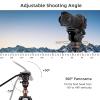 Cayer AF2451 Video Tripod with Fluid Head, 74.6" Convertible Aluminum Tripod to Monopod, 13.2 lbs Payload, Half Ball Leveling Base for DSLR Cameras and Video Recording view 2