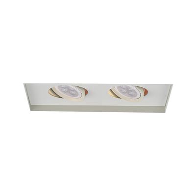WAC Low Voltage Multiples Recessed Two Light Invisible Trim in White and Two White 8W 500 Lumens MR16 LED Lamp, MT-216HS Housing Sold Separately