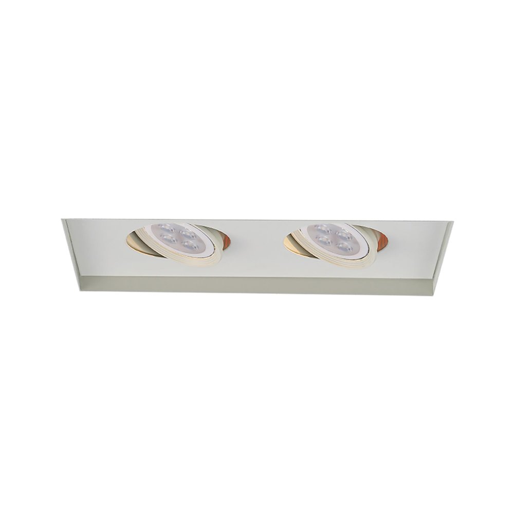 WAC Low Voltage Multiples Recessed Two Light Invisible Trim in White and Two White 8W 500 Lumens MR16 LED Lamp, MT-216HS Housing Sold Separately